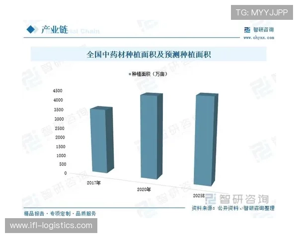 皇冠新二管理端集团在国际化进程中的关键成功因素探讨